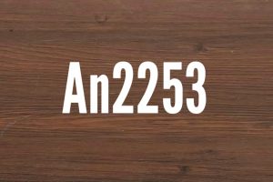 An2253