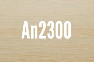 An2300