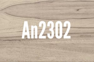 An2302