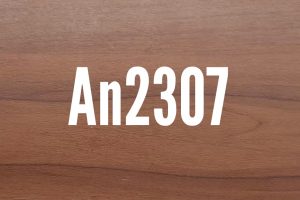 An2307