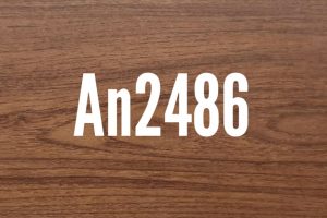 An2486