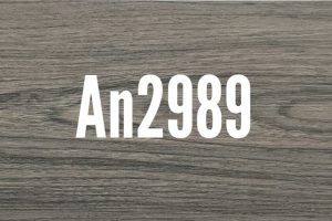 An2989