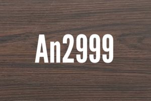 An2999