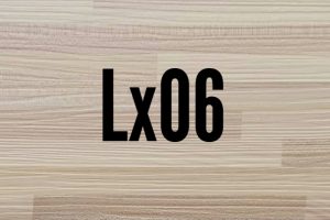 Lx06