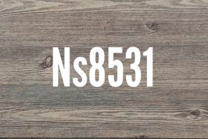 NS 8531