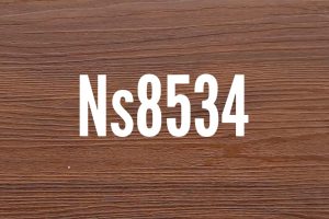 NS 8534