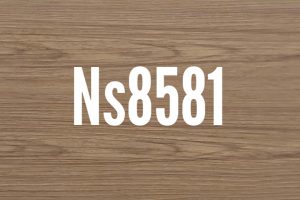 NS 8581