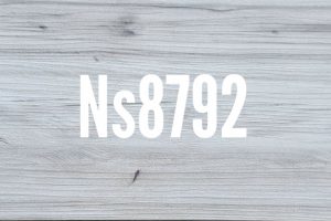NS 8792