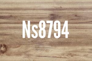 NS 8794
