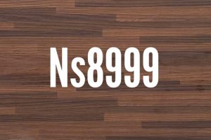 NS 8999