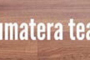 Parket-Interwood-Sumatera-Teak