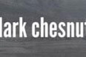Parket-Zebrano-Dark-Chesnut